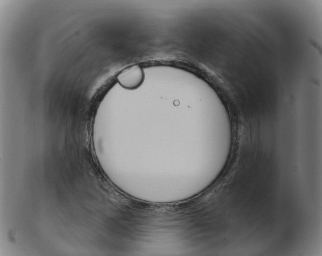 X0000103951262200809191203