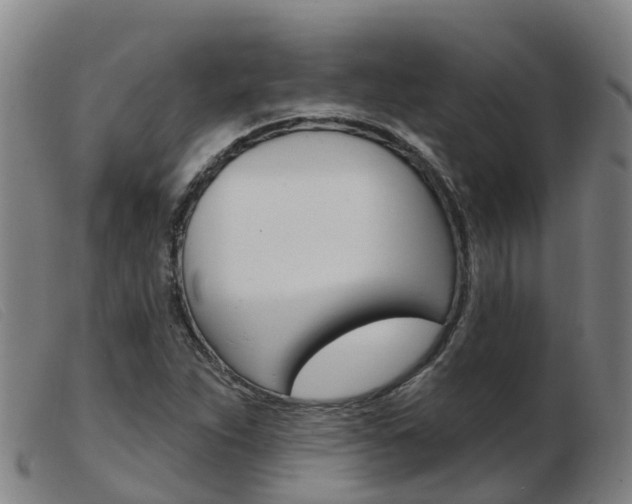 X0000103951263200809191203