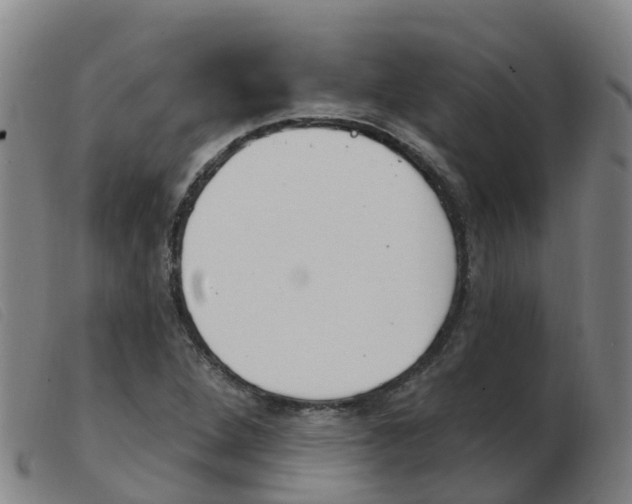 X0000103951264200809191203