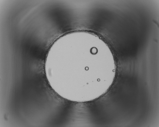 X0000103951265200809191203