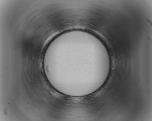 X0000103951266200809191203