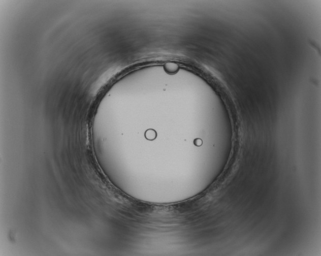 X0000103951267200809191203