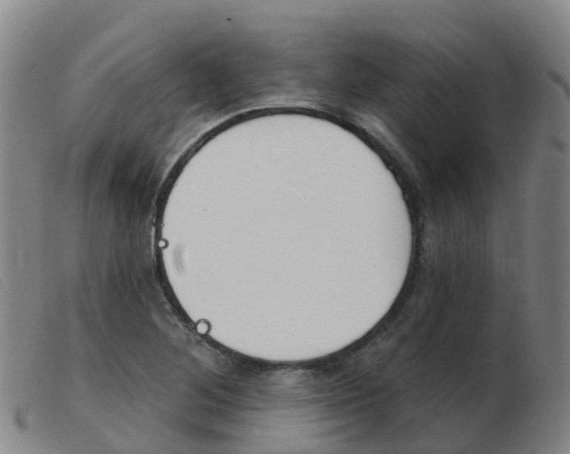 X0000103951268200809191203