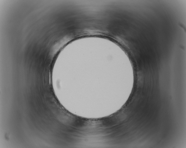 X0000103951269200809191203
