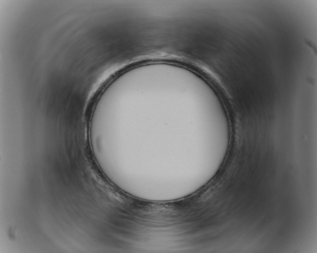 X0000103951270200809191203