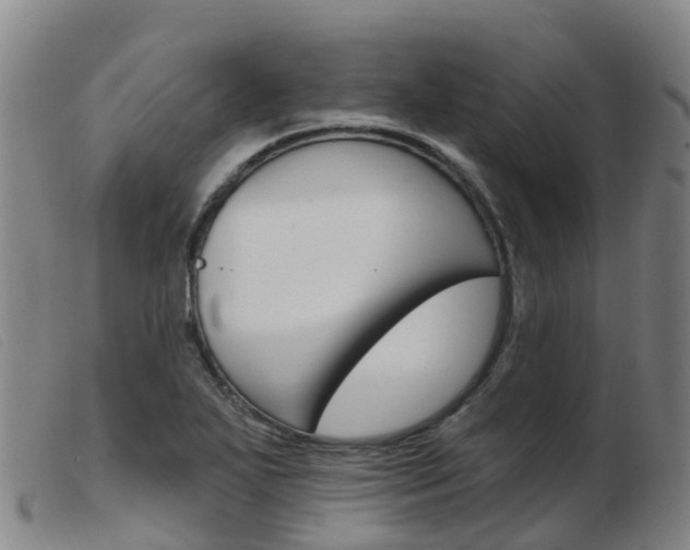X0000103951271200809191203