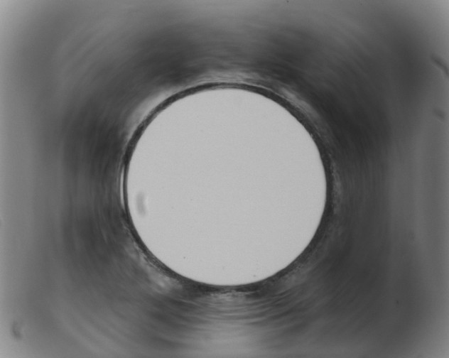 X0000103951272200809191203