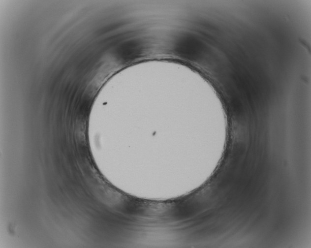 X0000103951273200809191203