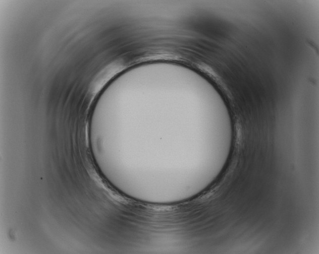 X0000103951274200809191203
