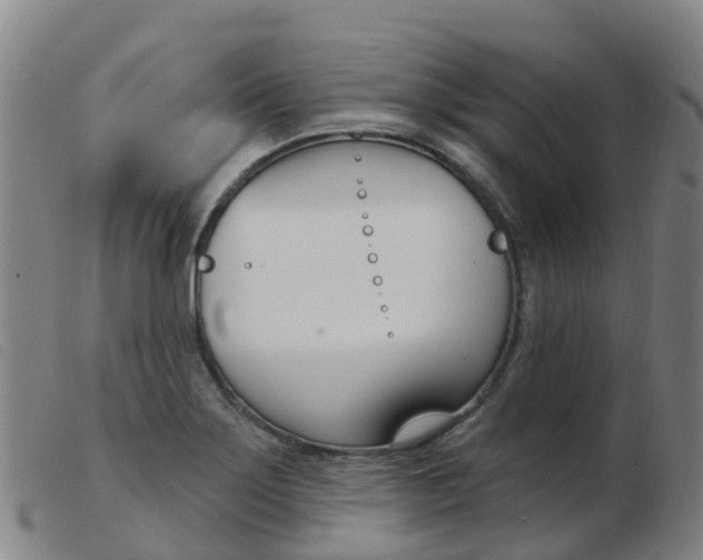 X0000103951275200809191203