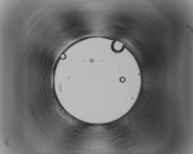 X0000103951276200809191202