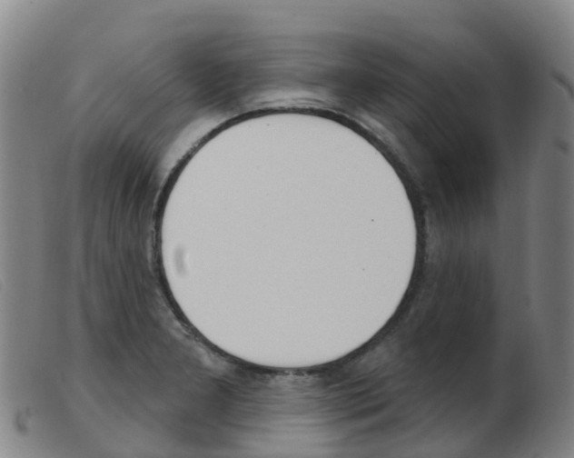 X0000103951277200809191202