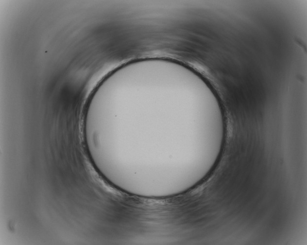 X0000103951278200809191202