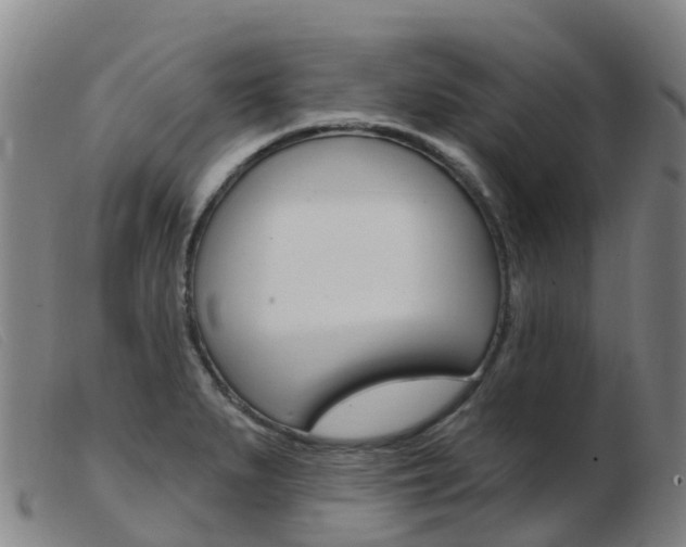 X0000103951279200809191202