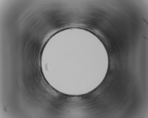 X0000103951280200809191202