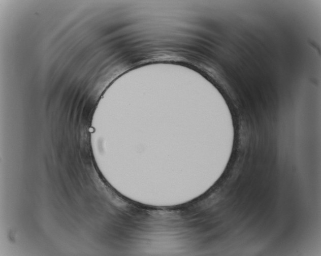 X0000103951281200809191202