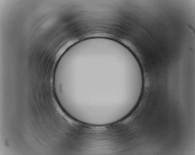X0000103951282200809191202