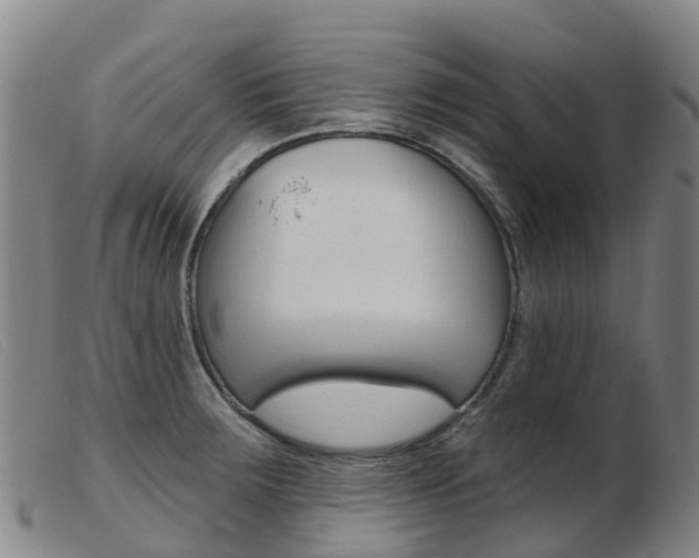 X0000103951283200809191202