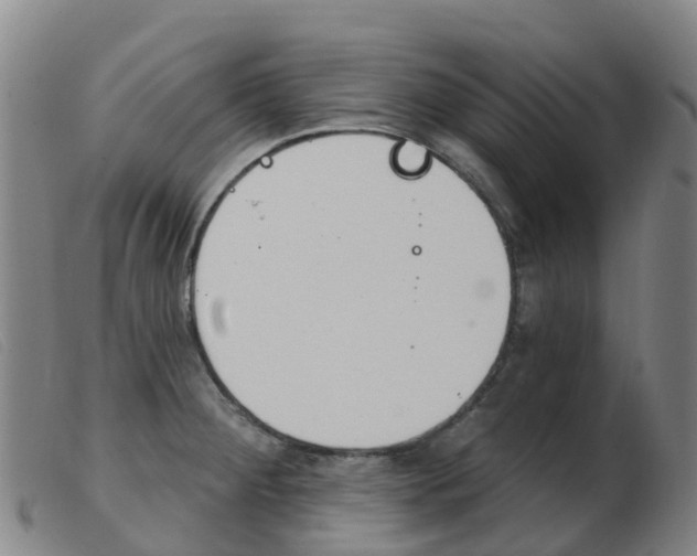 X0000103951284200809191202