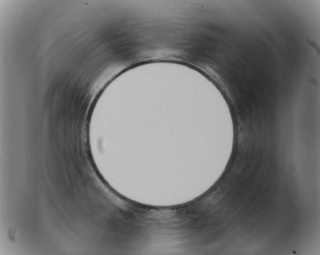 X0000103951285200809191202