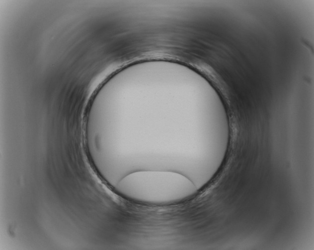 X0000103951286200809191202