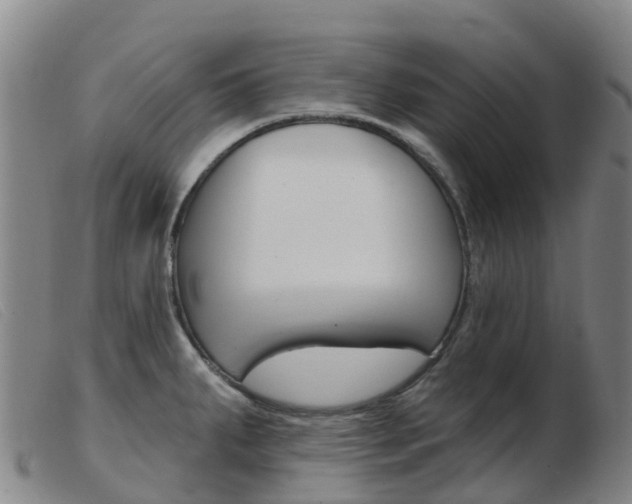 X0000103951287200809191202