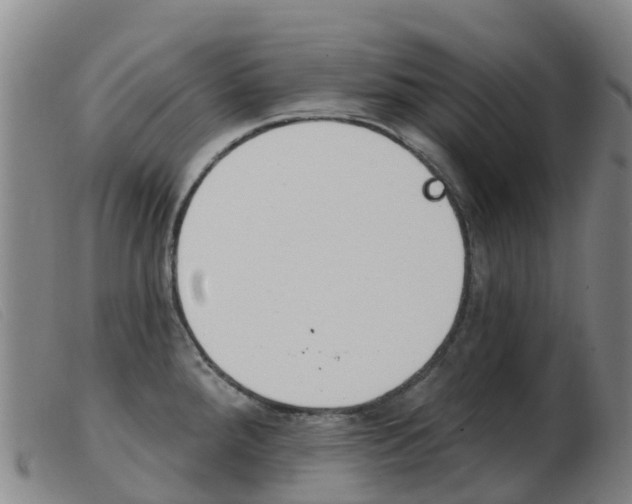 X0000103951288200809191202