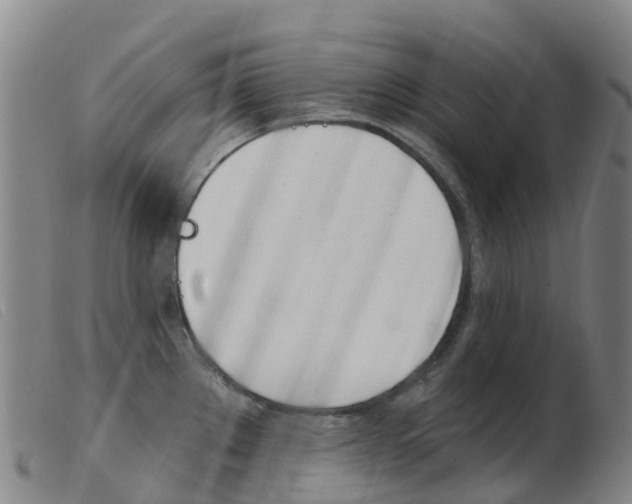 X0000103951289200809191202