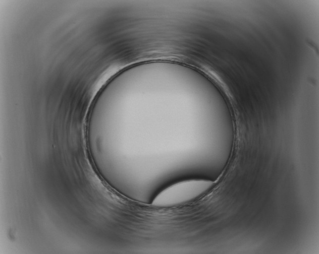 X0000103951291200809191202