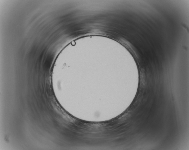X0000103951292200809191202