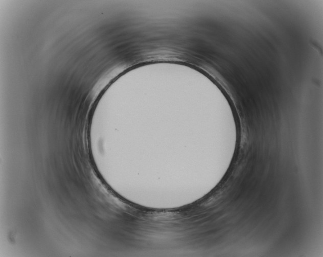 X0000103951293200809191202