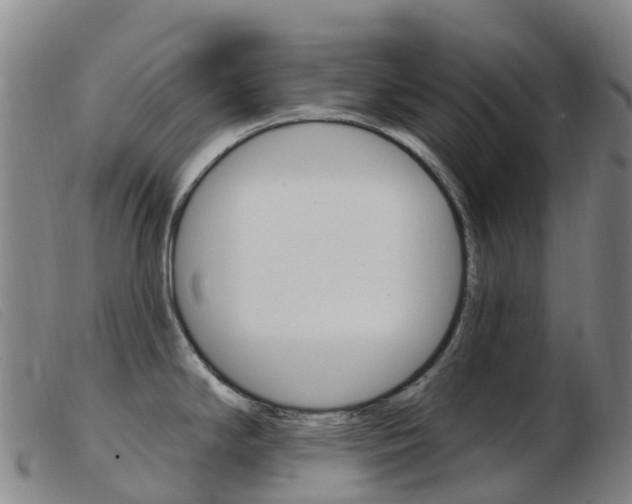 X0000103951294200809191202