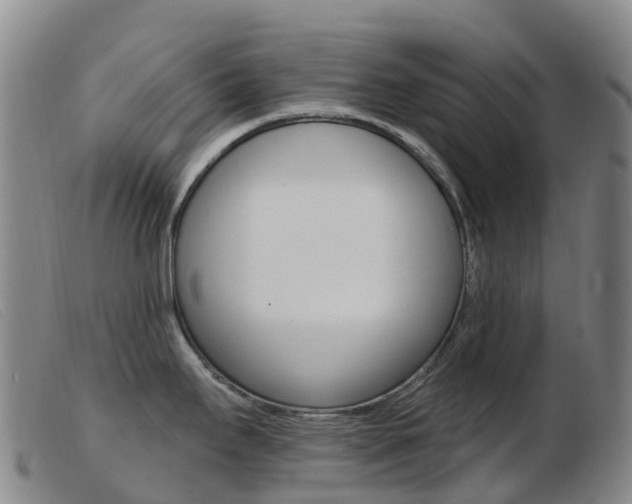 X0000103951295200809191202