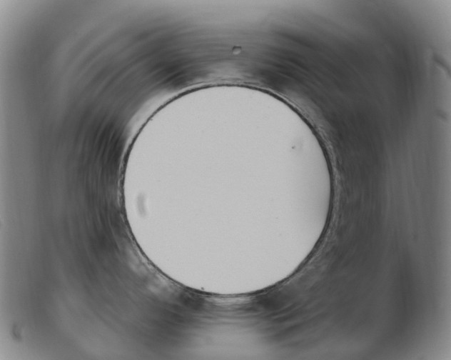 X0000103951296200809191202