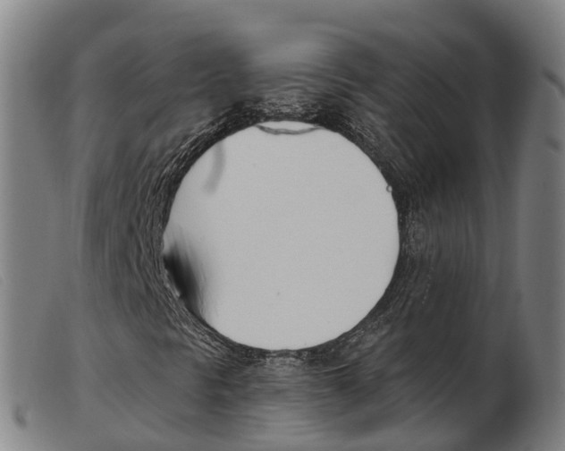 X0000103951297200809191201