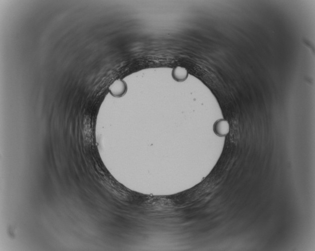 X0000103951298200809191201