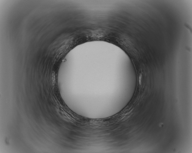 X0000103951299200809191201