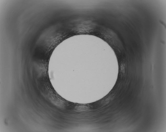 X0000103951300200809191201