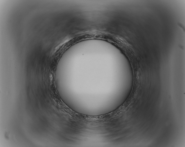 X0000103951302200809191201
