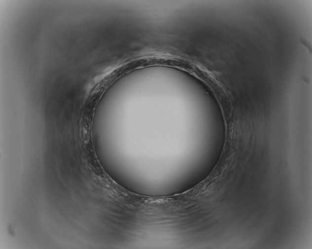 X0000103951303200809191201