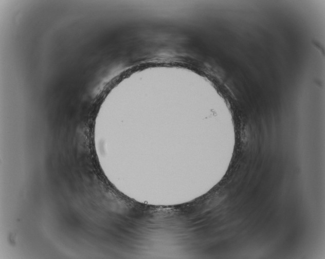 X0000103951304200809191201
