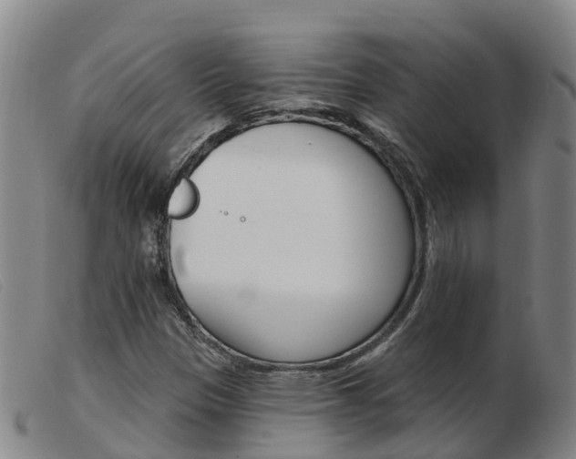 X0000103951305200809191202
