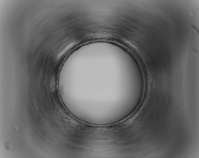 X0000103951306200809191202