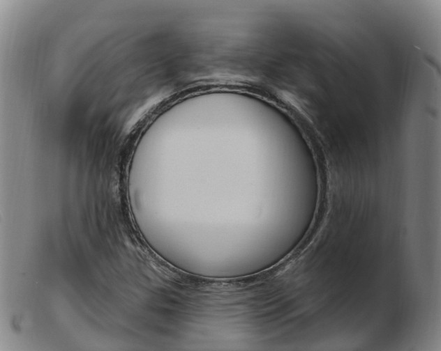 X0000103951307200809191202