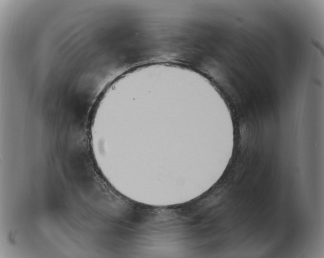 X0000103951308200809191202