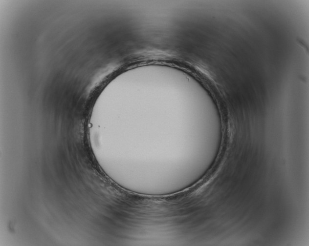 X0000103951309200809191202