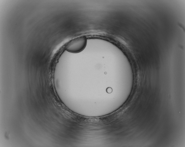 X0000103951310200809191202