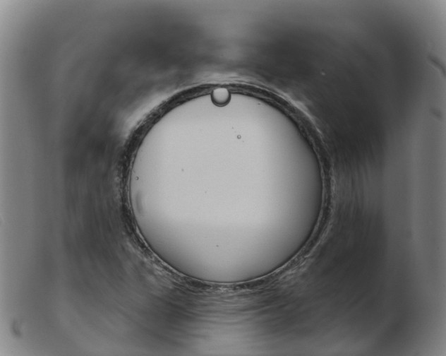 X0000103951311200809191202