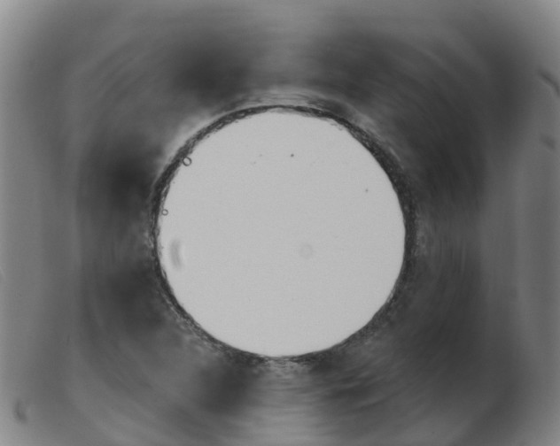 X0000103951312200809191202