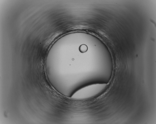 X0000103951313200809191202